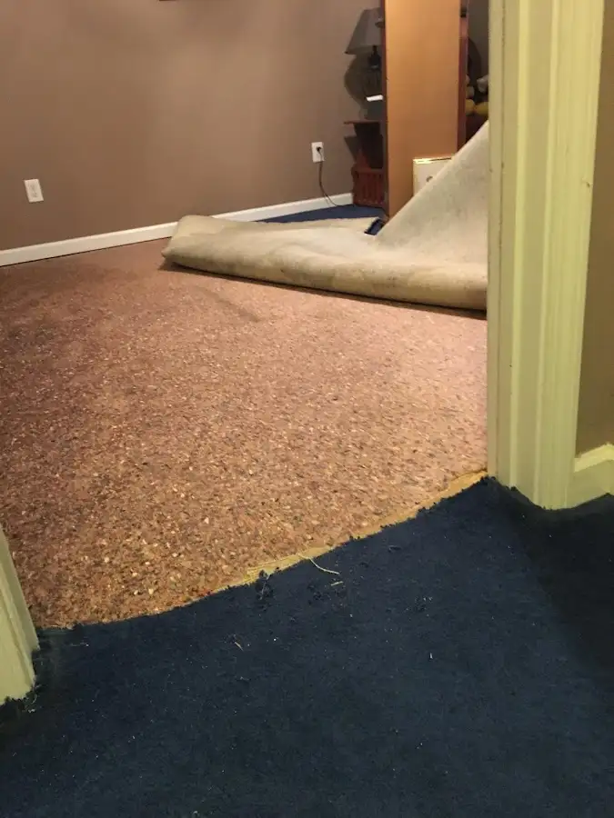 Carpet pad removal revealing water damage during Water Mitigation Services in Lincolnia