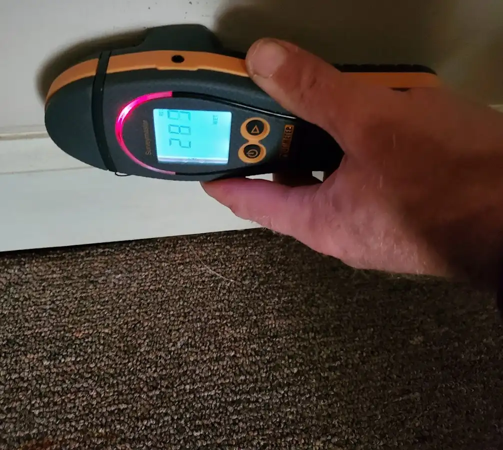 Moisture detection at baseboard during Mold Inspection & Testing in Lincolnia